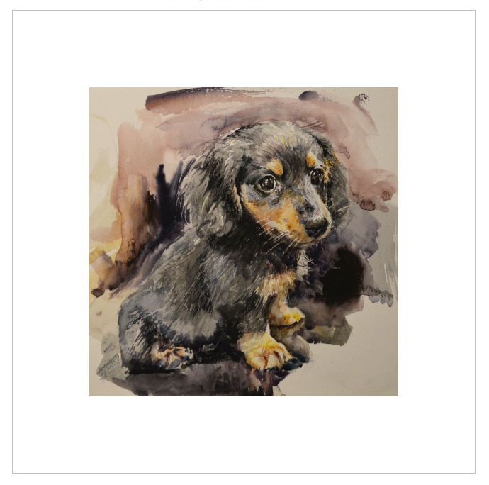 EQLE-P] Limited Edition Canvas Print - EUN JUNG - Dachshund Dog Painting