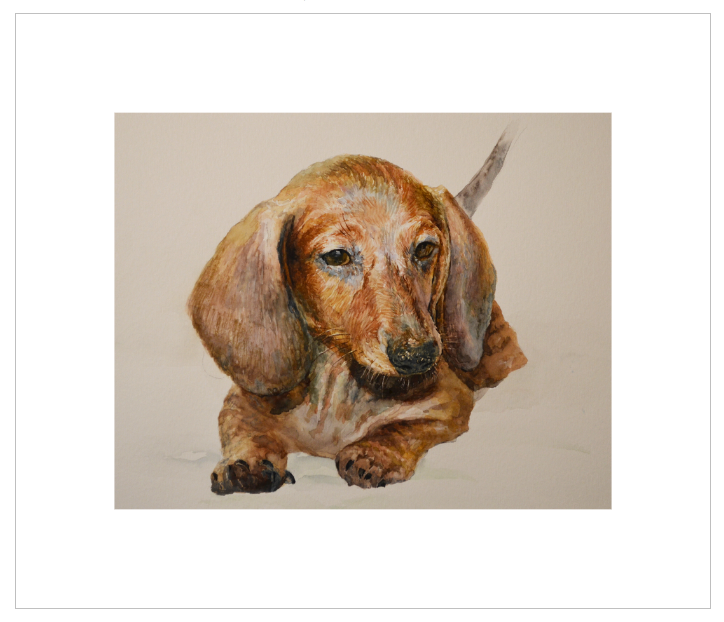 EQLE-P] Limited Edition Canvas Print - EUN JUNG - Dachshund Dog Painting