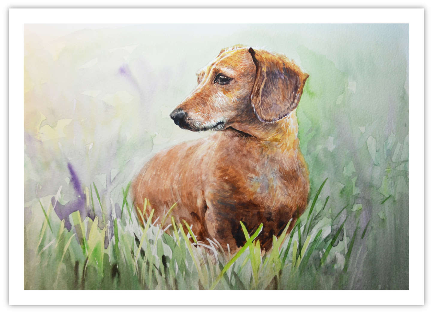 EQLE-P] Limited Edition Paper Print - RUKIE JACKSON - Dachshund Dog Painting