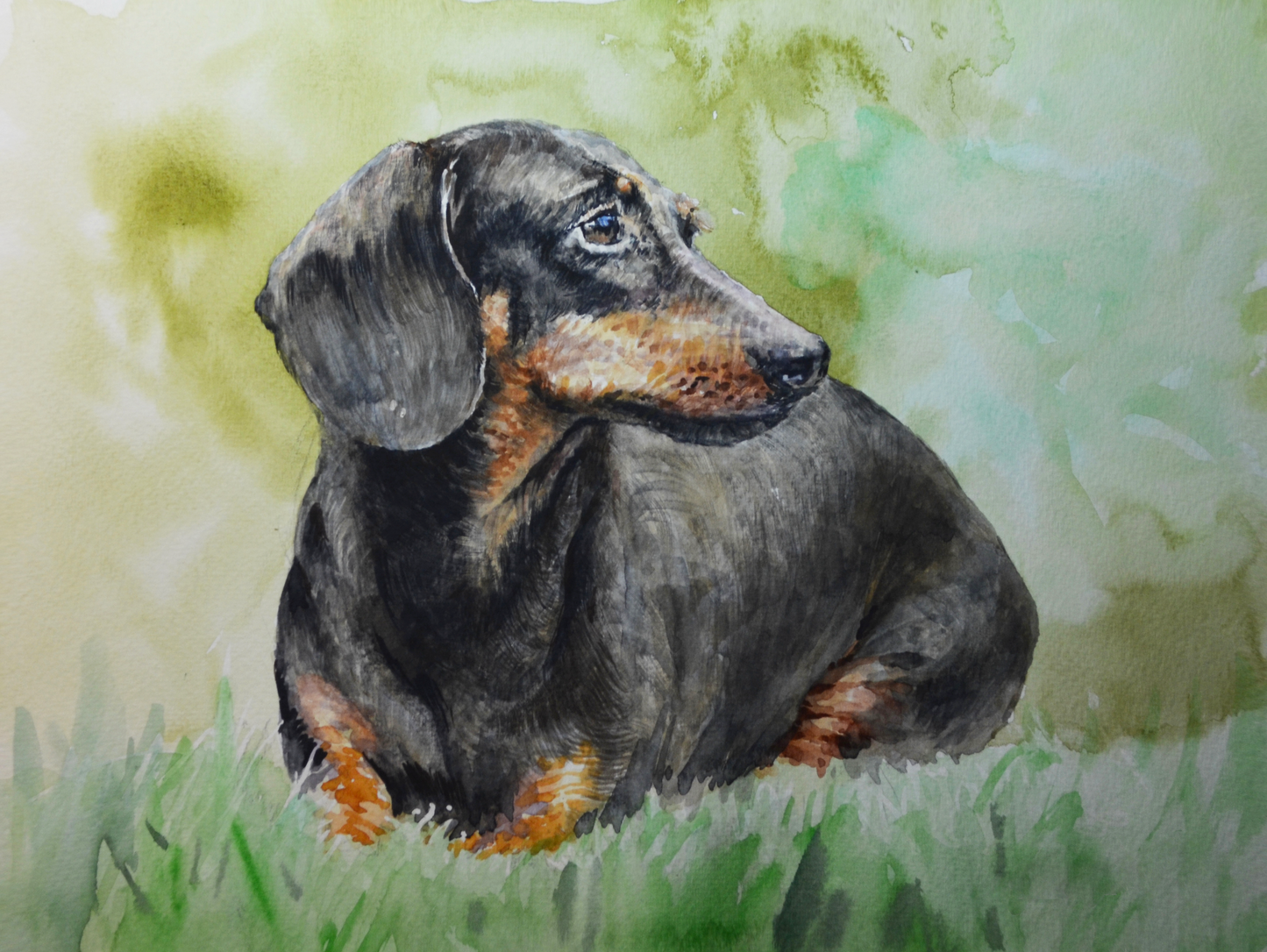 EQOP-P] EUN - Original Painting - Realism Dachshund Dog Pet Portrait Watercolor Painting