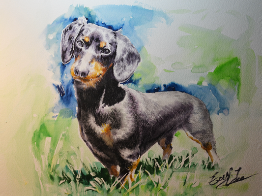 EQOP-P] EUN - Original Painting - Realism Dachshund Dog Pet Portrait Watercolor Painting