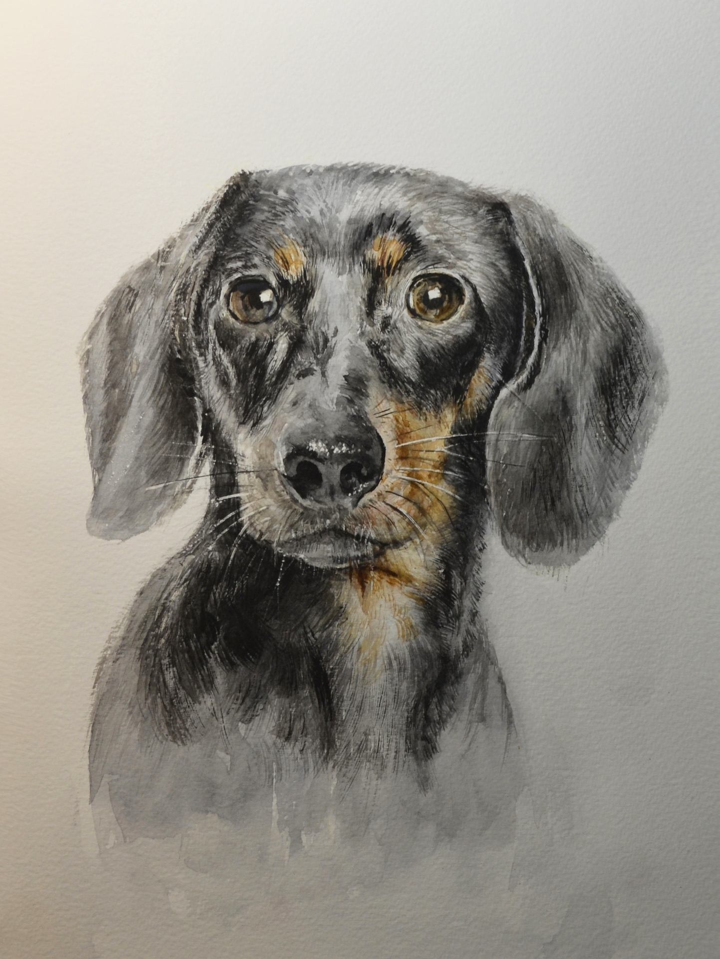 EQOP-P] EUN - Original Painting - Realism Dachshund Dog Pet Portrait Watercolor Painting