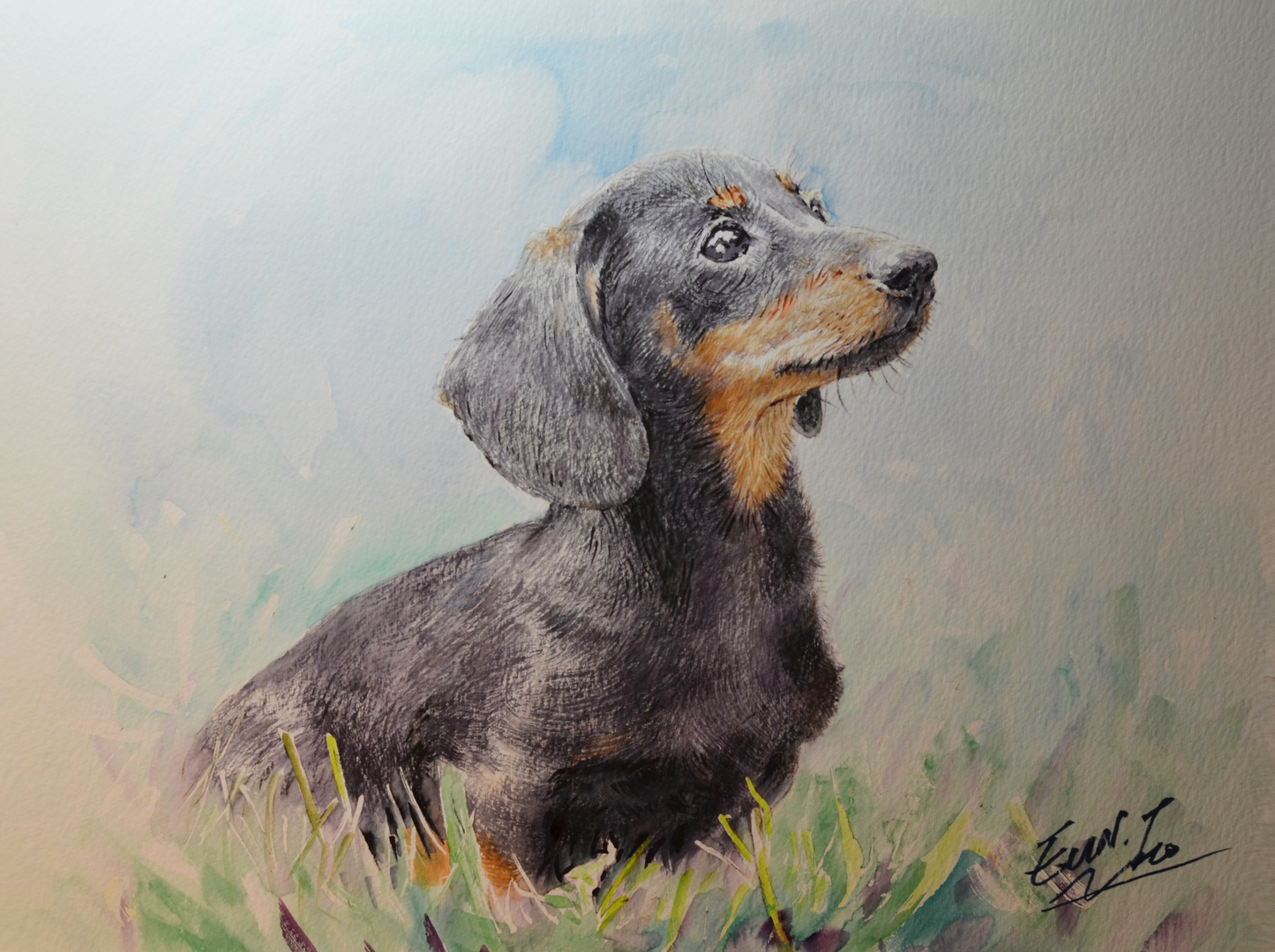 EQOP-P] EUN - Original Painting - Realism Dachshund Dog Pet Portrait Watercolor Painting