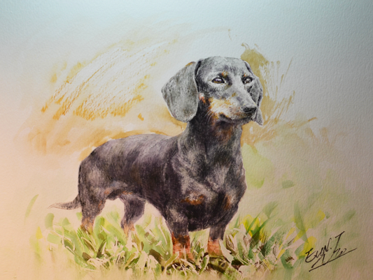 EQOP-P] EUN - Original Painting - Realism Dachshund Dog Pet Portrait Watercolor Painting