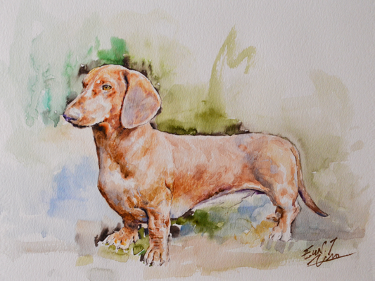 EOPA] EUN - Original Painting - Impressionism Dachshund Dog Pet Portrait Painting