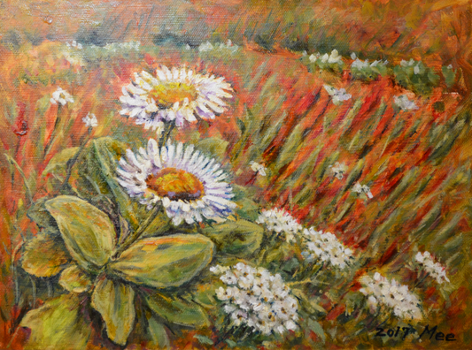 EOPR] MEE JUNG - Original Painting -  Impressionism White Daisy Flower Garden Painting